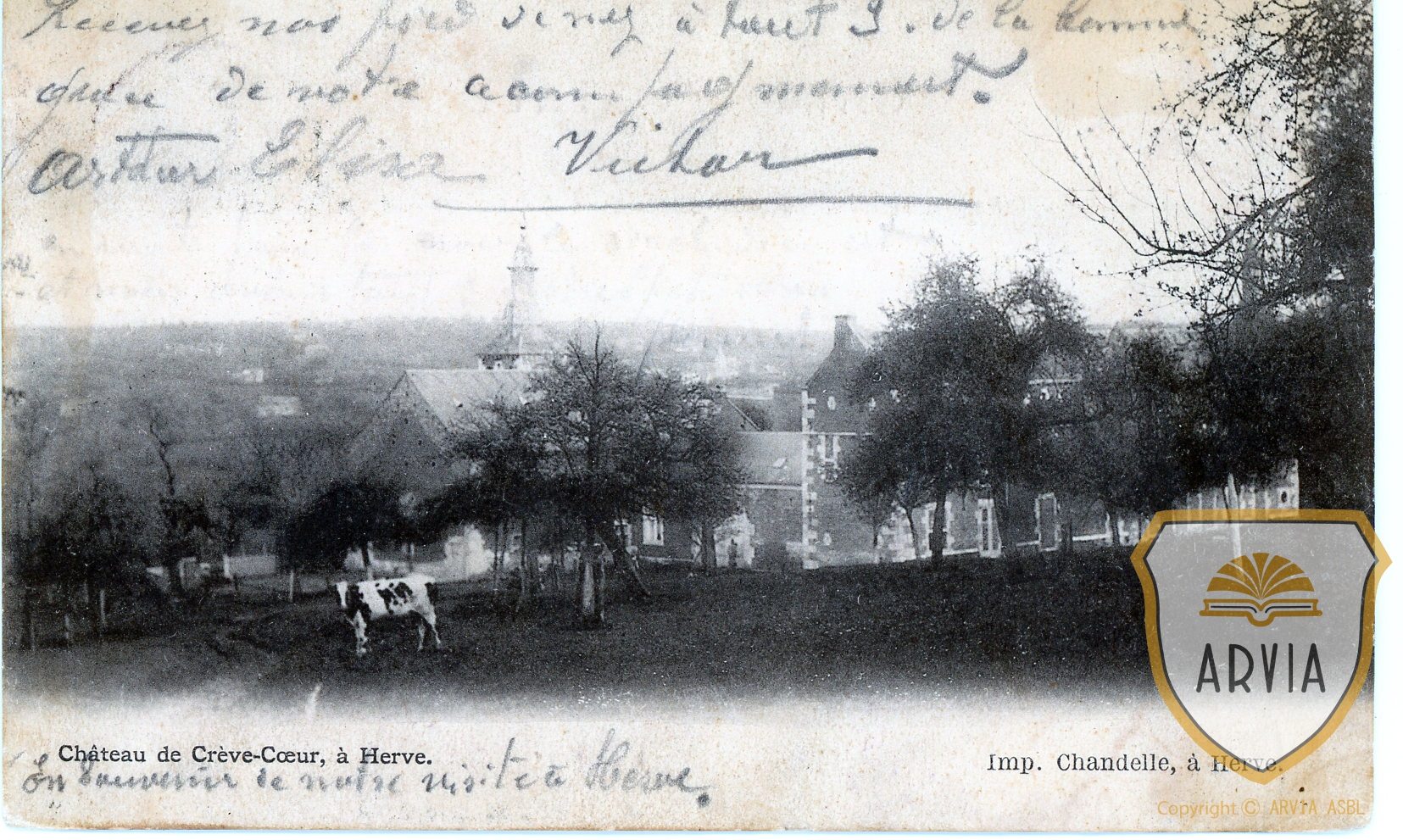 VDHER-HERVE-1900-Ed-Chandelle-Château-de-Crevecoeur294-Arvia-n°002433